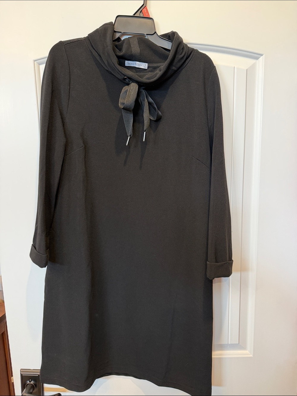 See and Be Seen Black Tie-Neck Long Sleeve Shift Dress